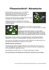 Pflanzensteckbrief-Märzenbecher.pdf